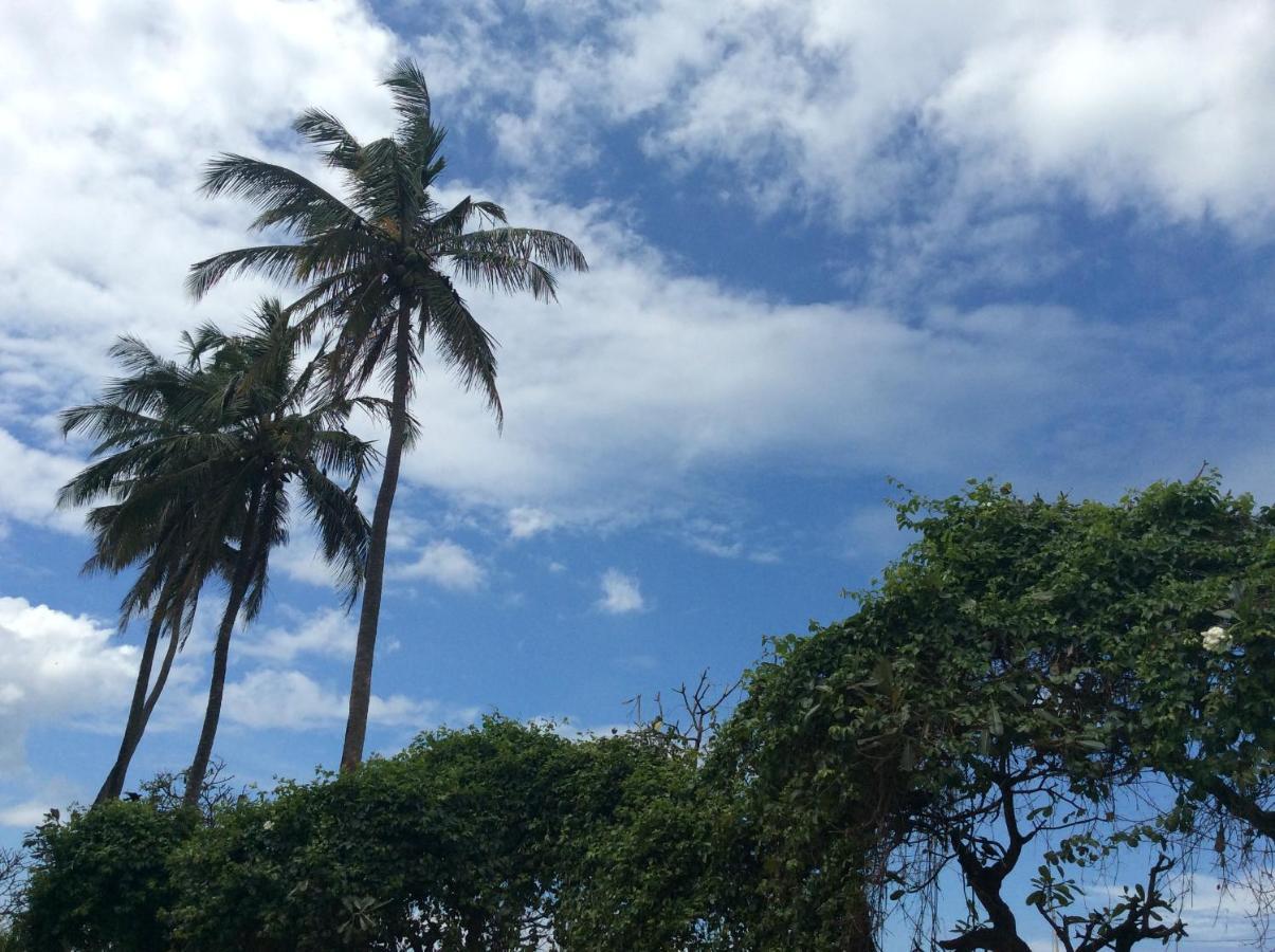 New Rest House Sea View Hotel Negombo Bagian luar foto